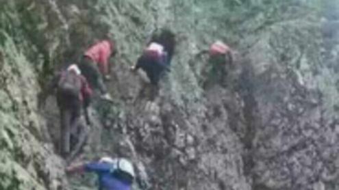 万名群众伏地挖虫草中国式大骗局仍在继续