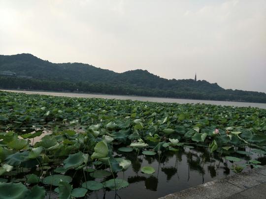 杭州西湖,全国著名,游客不断,生意新隆,那么多的人来杭州西湖