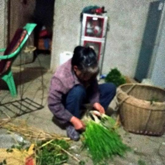 在农村种菜卖菜的菜农比城市里打工的人还要辛苦,赚钱
