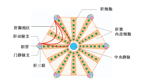 月底综合征是什么意思