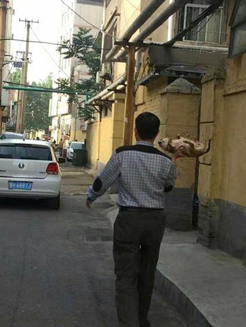 对方不想和你说话并向你扔了一只狗