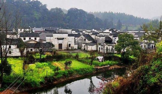 注意了这些农村创业项目政府也开始补助了