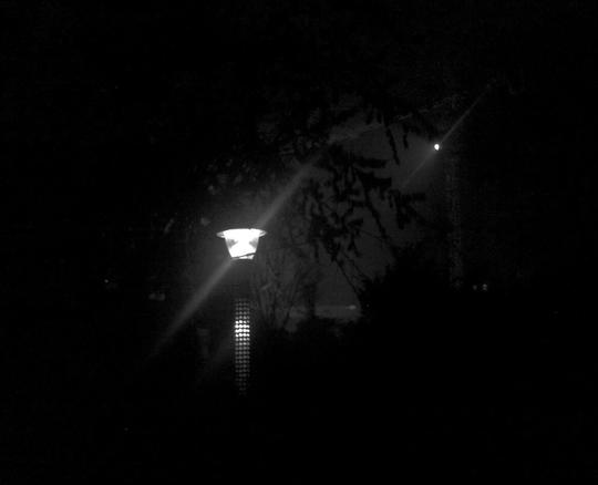 一个人的黑夜,路灯为伴