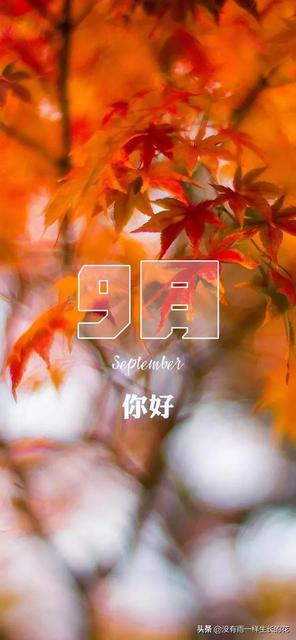 八月再见九月图片大全