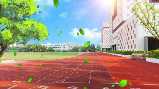 4k毕业季校园背景视频的预览图