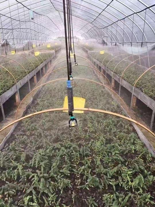 产品目录农业食品设施农业设备灌溉工具>果园果树滴灌滴头黑色