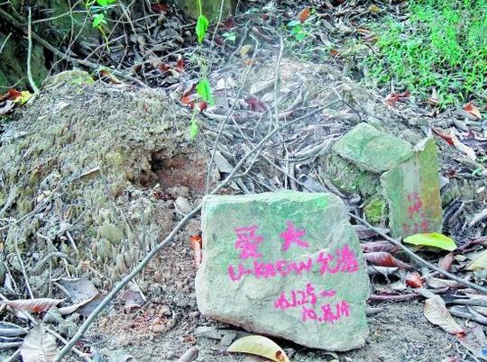 狗坟墓太扎眼让部分游客有意见_开心狗之家