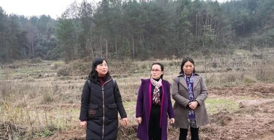 县政协主席马剑英到重安,旧州调研指导巾帼创业示范基地建设