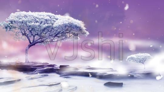 古风下雪天_1920x1080_高清视频素材下载(编号:788246
