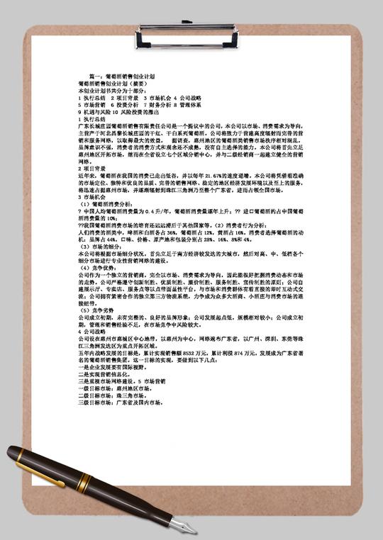 葡萄酒销售创业计划书word范文模板