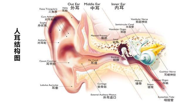 外耳道感染怎么治疗