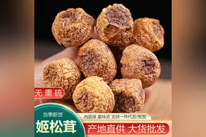 茶花菇 头条搜索