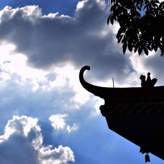 抖音天空-天空合作,广告,视频,粉丝,联系方式(抖音)