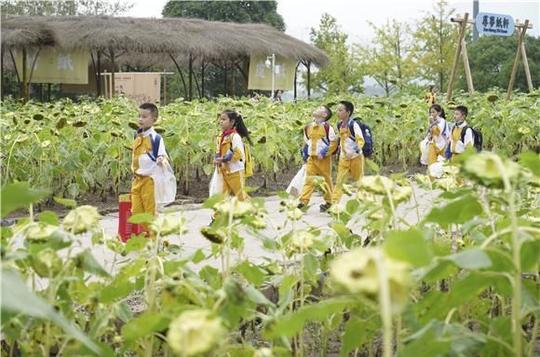 【旅游】特色农旅项目落地重庆台湾农民创业园全市首个两岸研学亲子趣场助力乡村振兴-小虾米