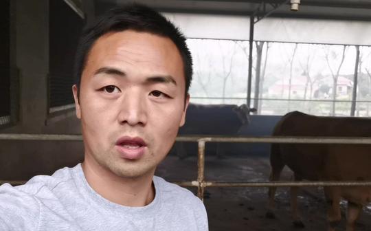 农村创业养牛，消毒预防非常关键，看看小伙如何轻松解决