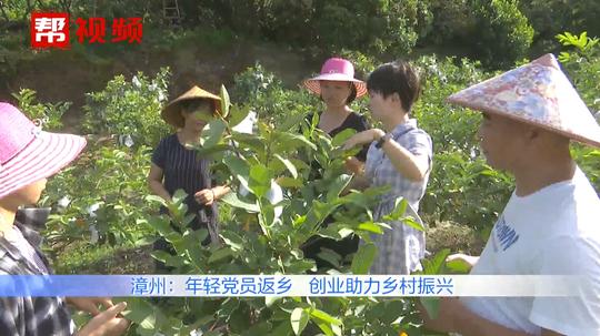 年轻党员辞去高薪工作，返乡创业带领村民致富，助力乡村振兴
