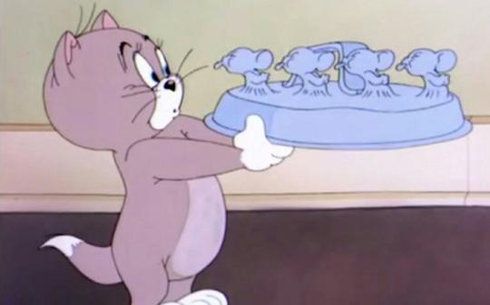 《猫和老鼠》托普斯遇到剑客泰菲怎么办当然是针对啦:d