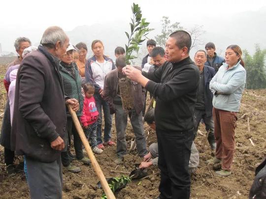 还准备建设一家果汁加工厂;返乡创业的大学生明陶英开起了木材加工厂