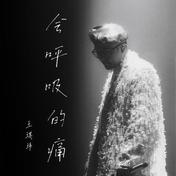 会呼吸的痛(王琪玮)