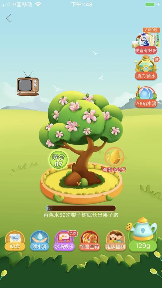 拼多多多多果园发货怎么看(拼多多代运营--多多果园详解)