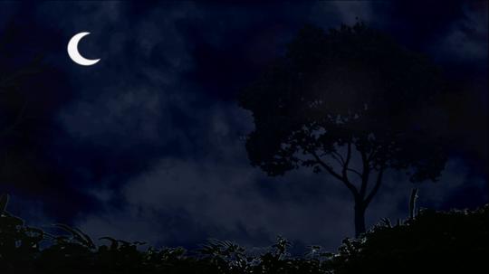 月色荒郊大树背景_3840x2160_高清视频素材下载(编号