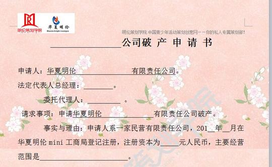 全国小记者mini创业大赛执行案(10)—破产申请书