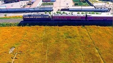 秦皇岛到大连车票的相关长尾关键词有哪些