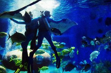 哈尔滨天行图片相关长尾关键词有哪些