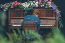 Violets for Roses(Lana Del Rey)