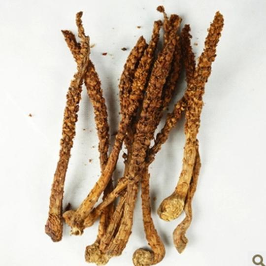 中药材不老草顶天柱草苁蓉金笋肉松蓉10条新货