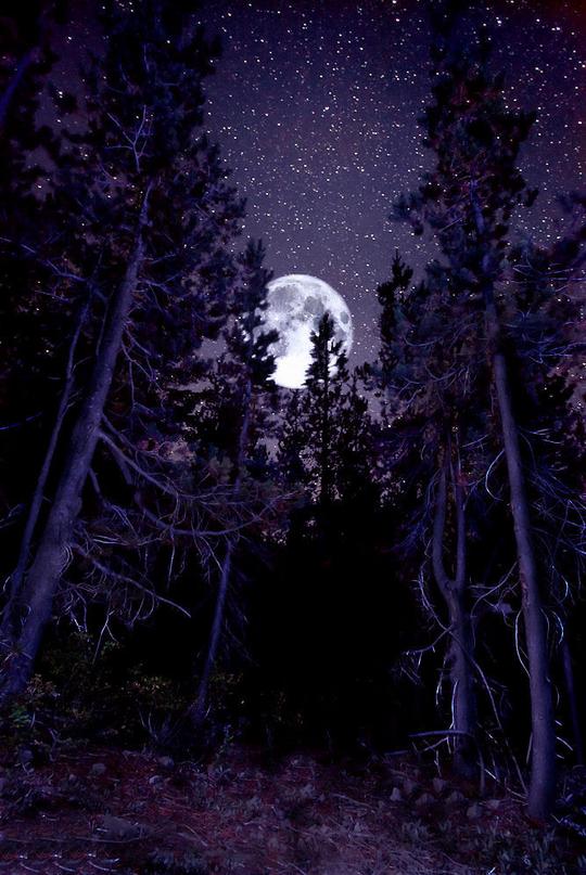 夜空,明月,星空,星星,月亮,宇宙,夜,☾月光之城