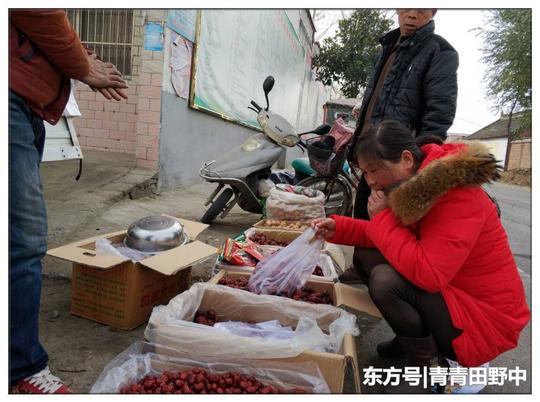 在农村,年底干点啥最挣钱?试试这些小买卖,勤快的一天