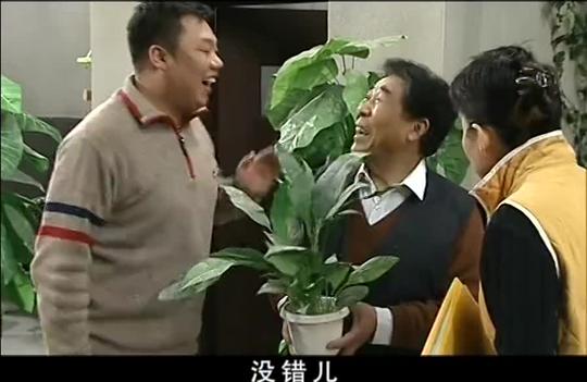 张大爷:我教天意怎么揪花呢