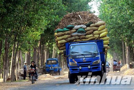 农村公路超载运输亟待整治