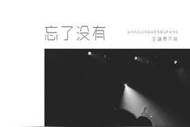 忘了没有(王靖雯不胖)