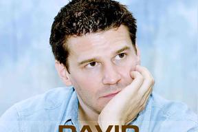 大卫&middot;伯伦纳兹 