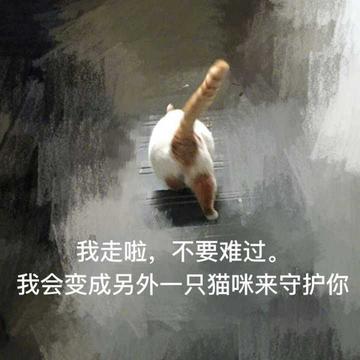 那我走我很丑吗表情包