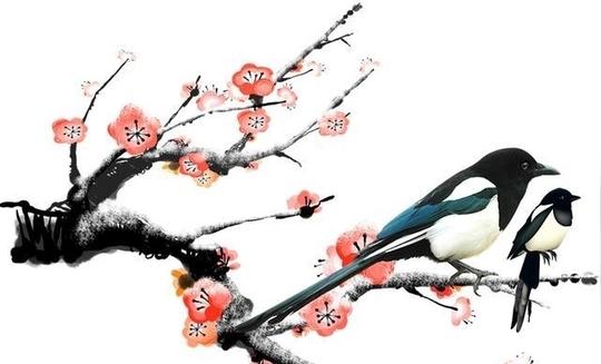 生肖|花无百日红,人无千日好,未来五年12生肖运势
