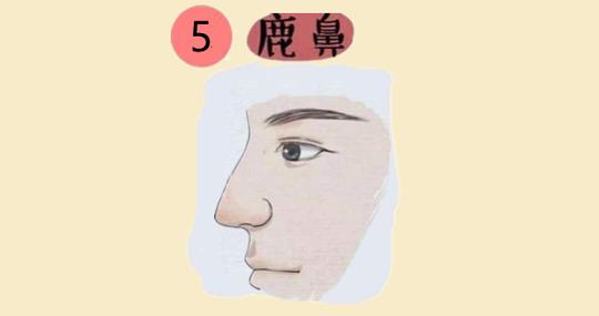五种发财鼻，能赚钱又能存，老了有钱有福!