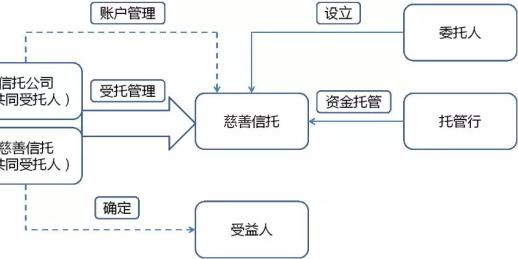 项目管理、慈善活动执行、慈善资源组织等方面具有突出优势.两者作