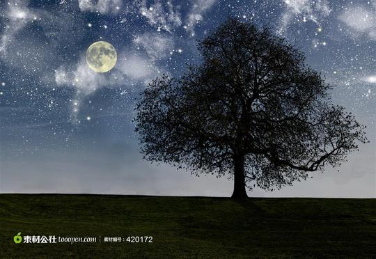 夜晚星空月亮大树草地图片-素材公社tooope