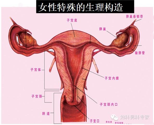 怎么预防产后炎症