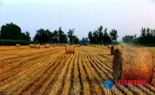 黑龙江庆安:秸秆打包队跨省作业被追捧