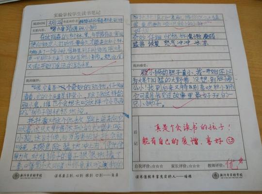 学生读书笔记之《绿野仙踪》