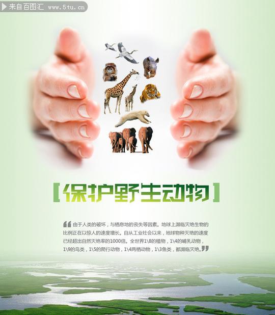 保护野生动物公益广告_海报dm_源文件库_ps