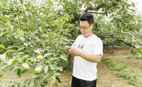 走进乡村|“学霸”返乡，当起“新农人”!中国农业大学硕士研究生陈代涛回乡创业，带领百姓增收致富