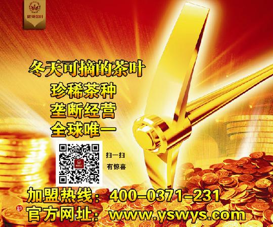 耀舜金叶茶茶叶代理加盟创业项目火爆的原因(图)