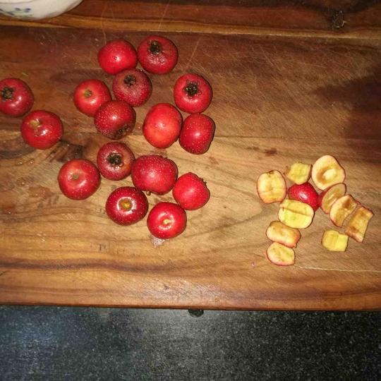 处理到脑瓜疼快切好的楂果儿