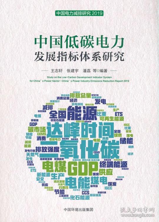 中国低碳电力发展指标体系研究王志轩,张建宇,潘荔等著中国环