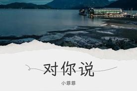 对你说(半吨兄弟)